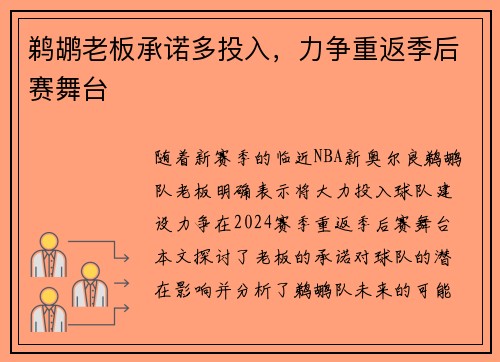 鹈鹕老板承诺多投入,力争重返季后赛舞台